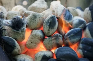 Coconut Shell Charcoal Briquettes Benefits and Perks when Used